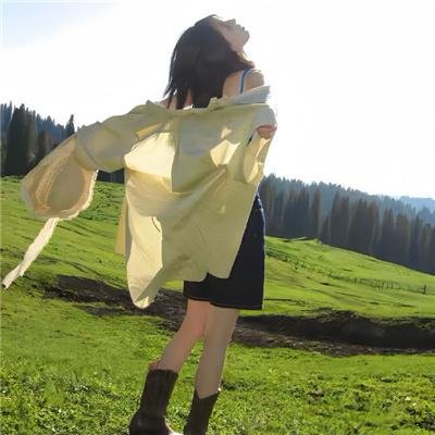 我叫哀木涕之山口山战记
