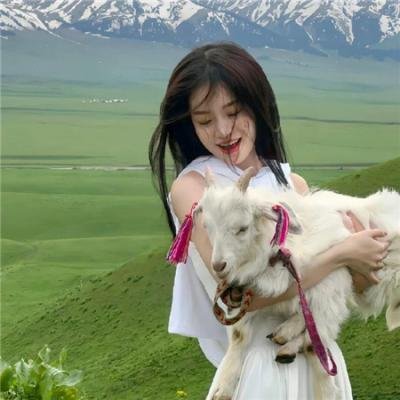 阿达球迷闹篮坛